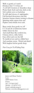peter-corey-the-walking-party
